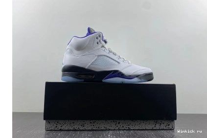 Retro Dark 5 Concord Jordan 0802